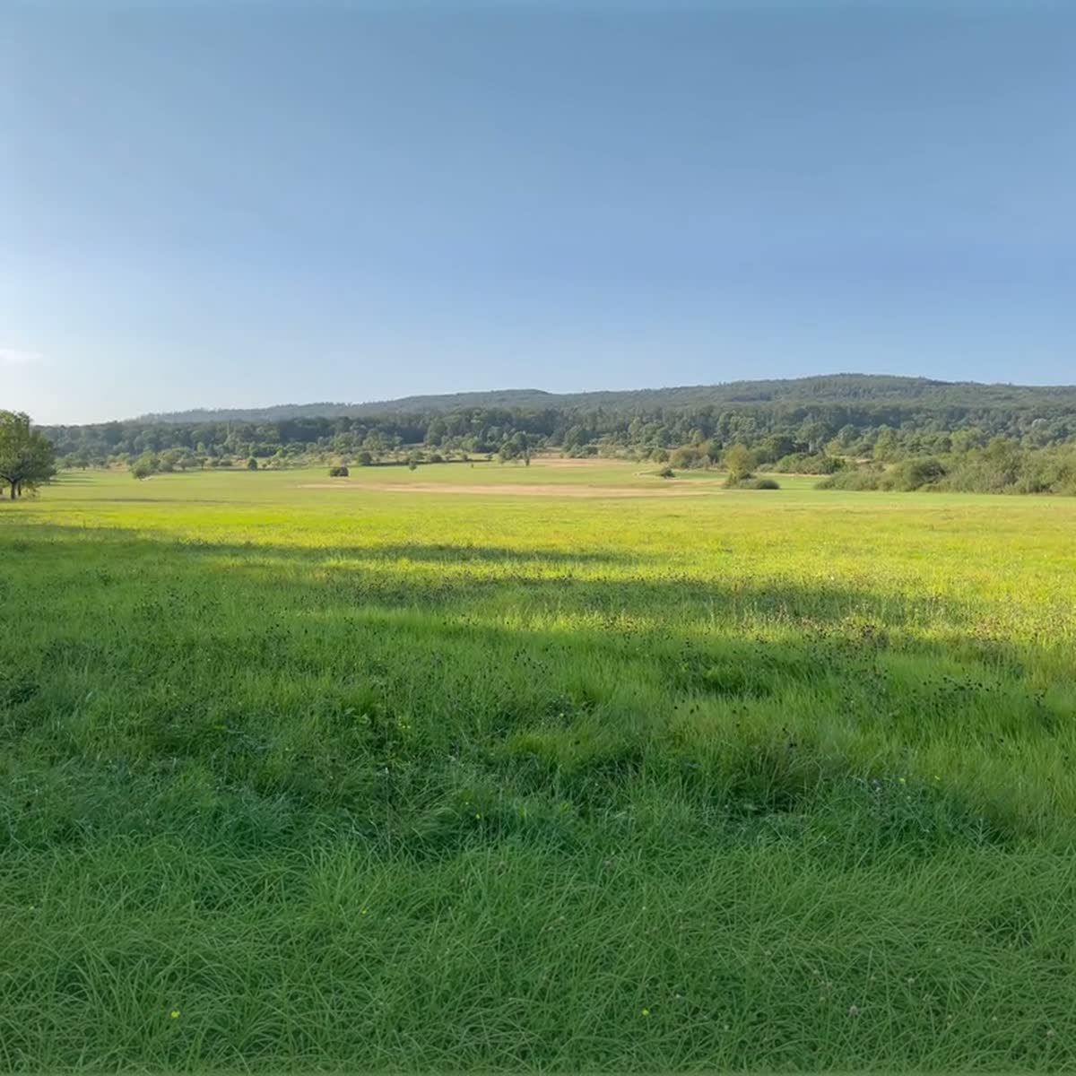 Widescreen 16:9 landscape clip expanded by Outpaint into a 1:1 square canvas — generated sky and foreground filling the top and bottom of the original 16:9 source